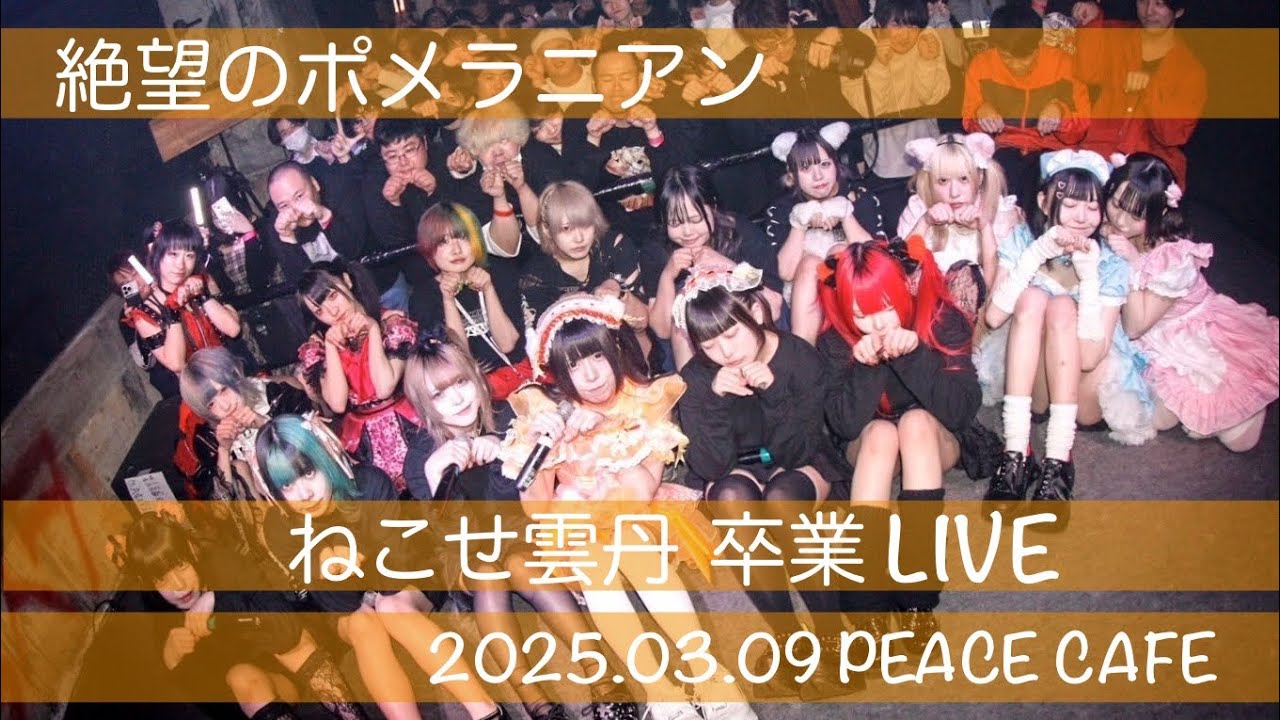 2025.03.09【ねこせ雲丹】絶望のポメラニアン ねこせ雲丹 卒業LIVE：PEACE CAFE