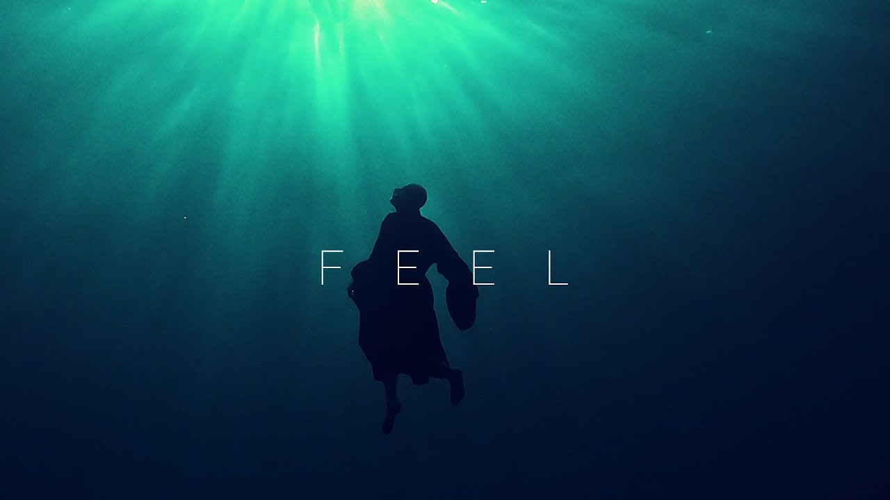 F E E L