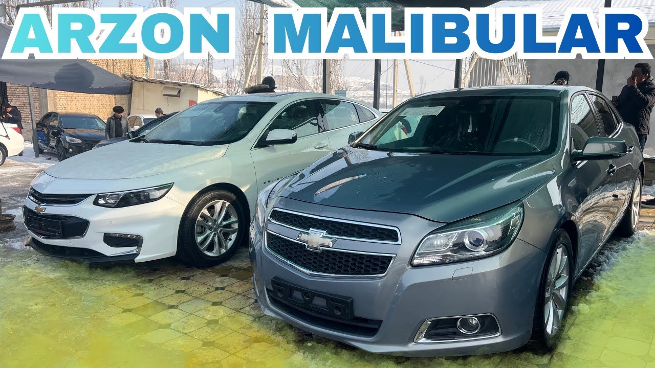 Endi Malibu Oling | Bozor Arzonladi Malibu 1 narxlari 2026