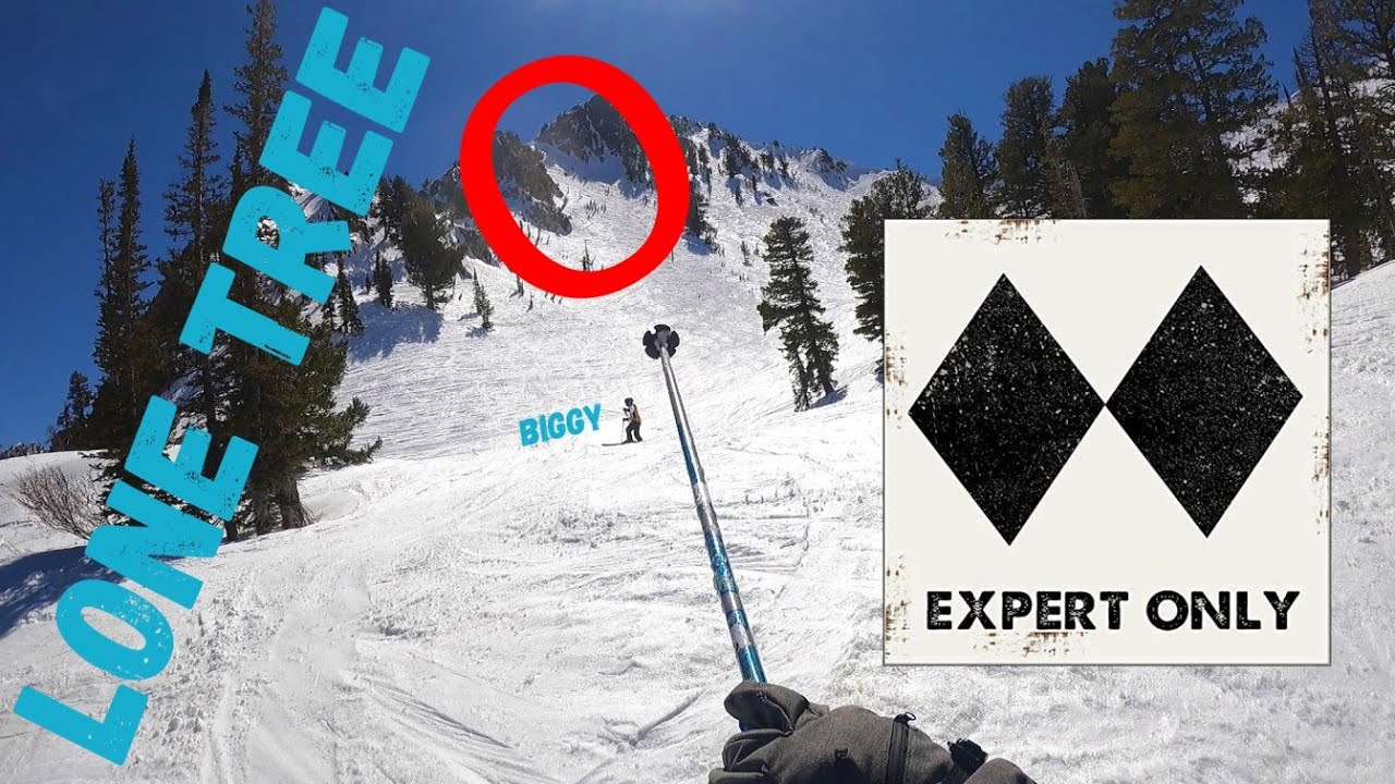 Skiing Lone Tree at Snowbasin! (Double Black Diamond)