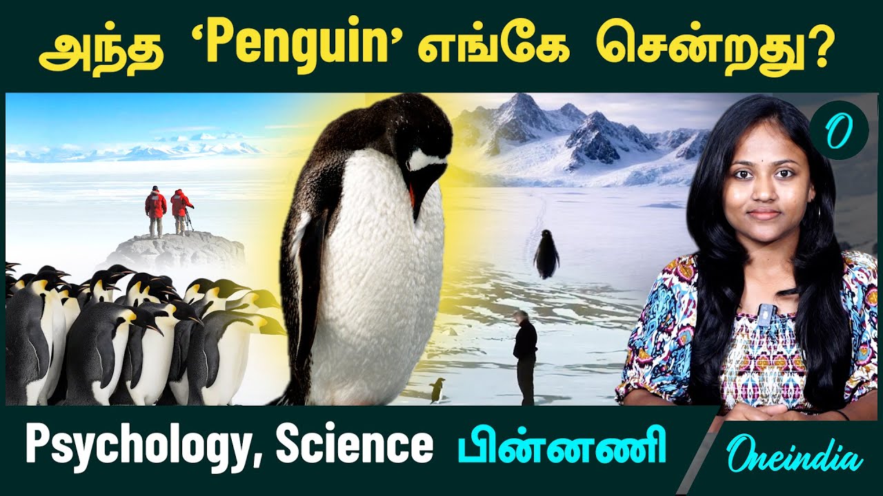 Penguin | தனித்து போன  ‛Penguin' என்ன ஆனது? | Psychology, Science explained behind Nihilist Penguin
