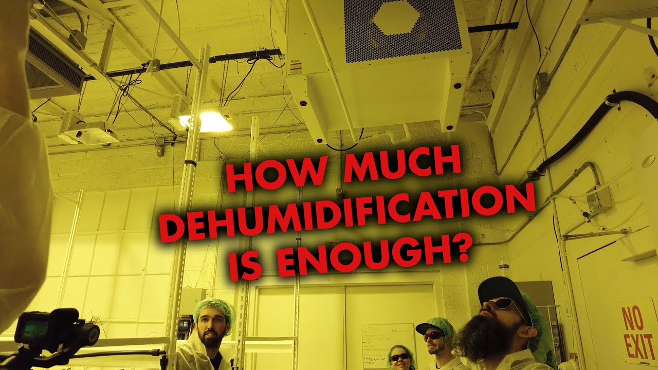 Talking Dehumidifiers with Spartan Grown, BakedPwn, and Eric from Winewood Organics