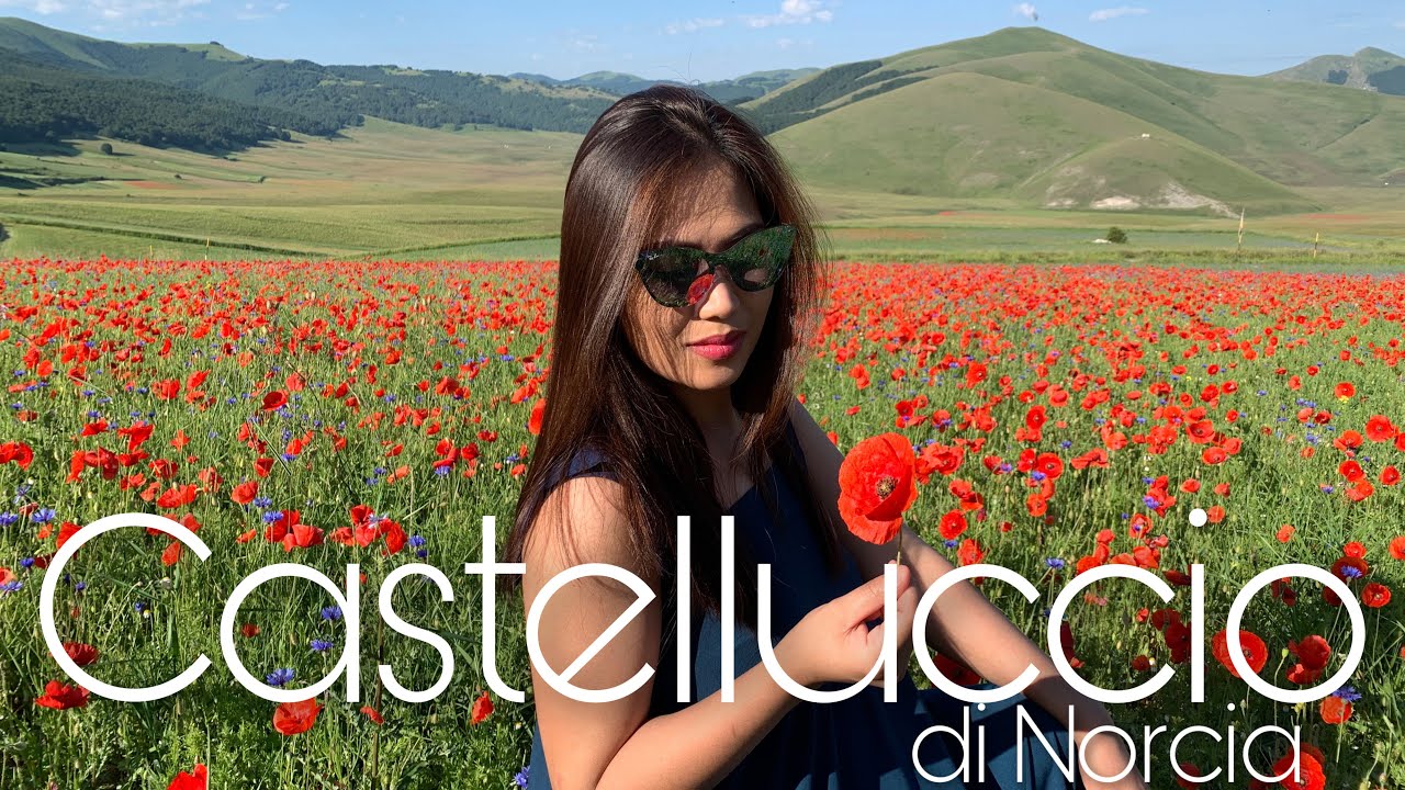 Fioritura a Castelluccio di Norcia 