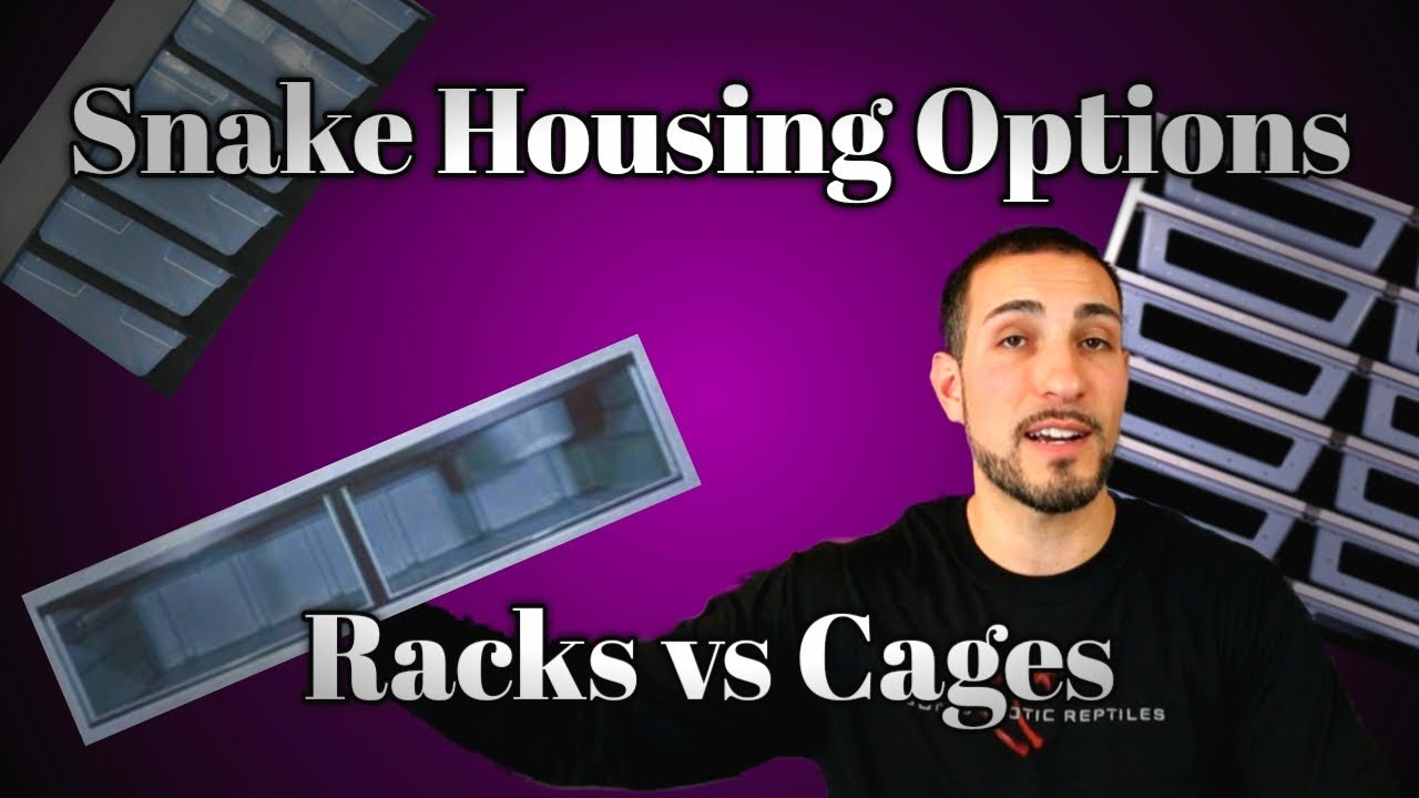 Snake Housing and Enclosure Options - Racks vs Cages! What should you buy!