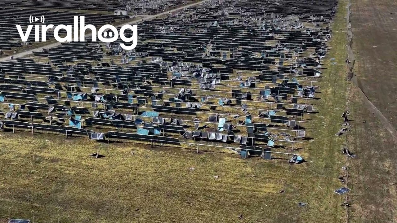 Drone Footage of Tornado Aftermath on an Indiana Solar Farm || ViralHog
