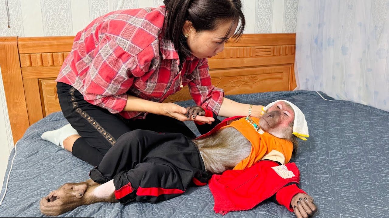 Mom was worried when saw ABU sick and cried!
