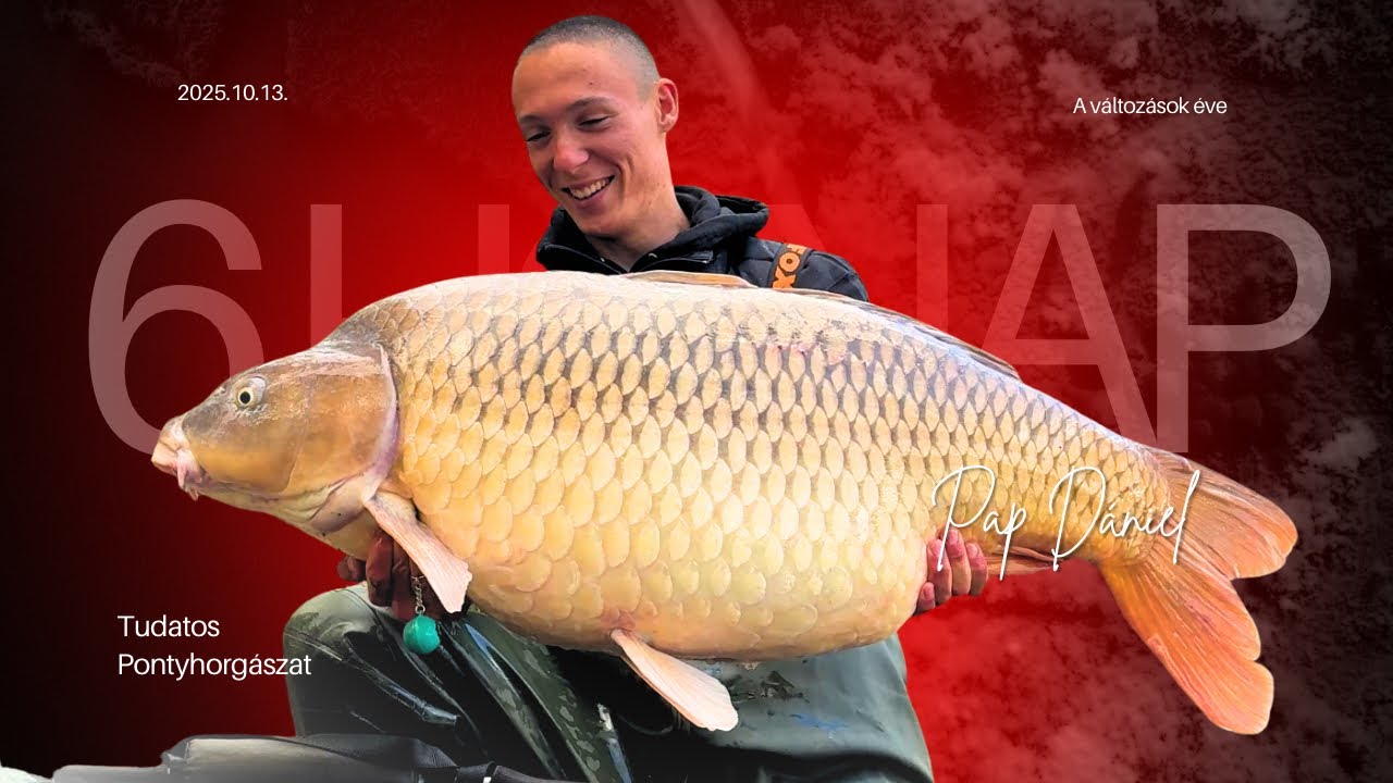 CSAK HÉTVÉGÉN horgásztam, és ez lett az eredménye…🤫🤷‍♂️🐳 