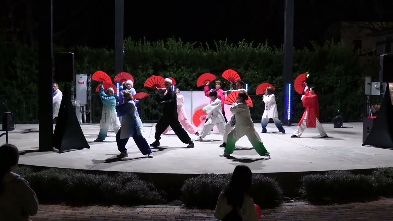 Tai Chi Fan at the 2026 Lunar New Year Festival at Lake David Park in Groveland, Fl. 13 Feb. 2026.