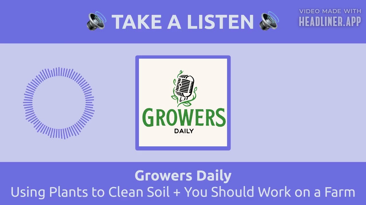 Using Plants to Clean Soil + You Should Work on a Farm | Growers Daily