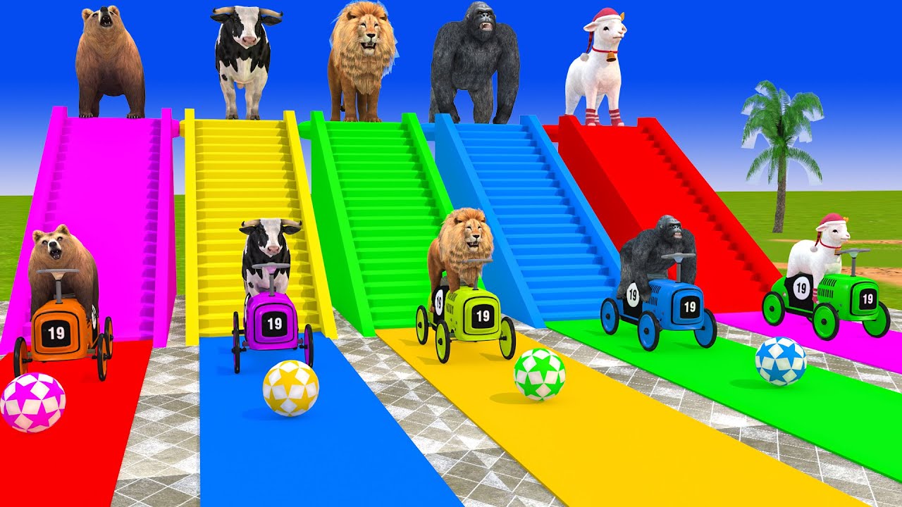 Long Slide Game With Elephant Gorilla Buffalo Hippopotamus Tiger - 3d Animal Game - Funny 3d Animals