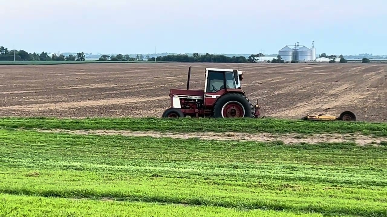 IH 1486 batwing mowing #tractorvideo #farming #internationalharvester #fyp 
