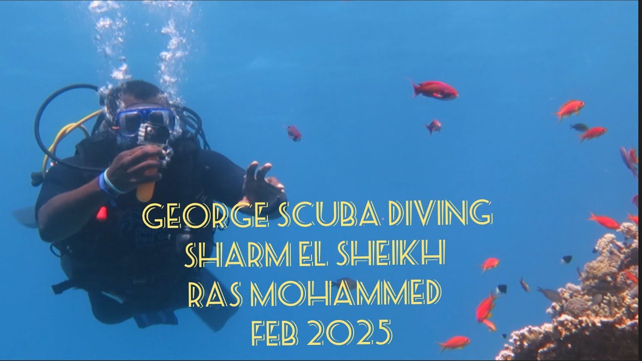 Scuba Diving Sharm El Sheikh - Ras Mohammed