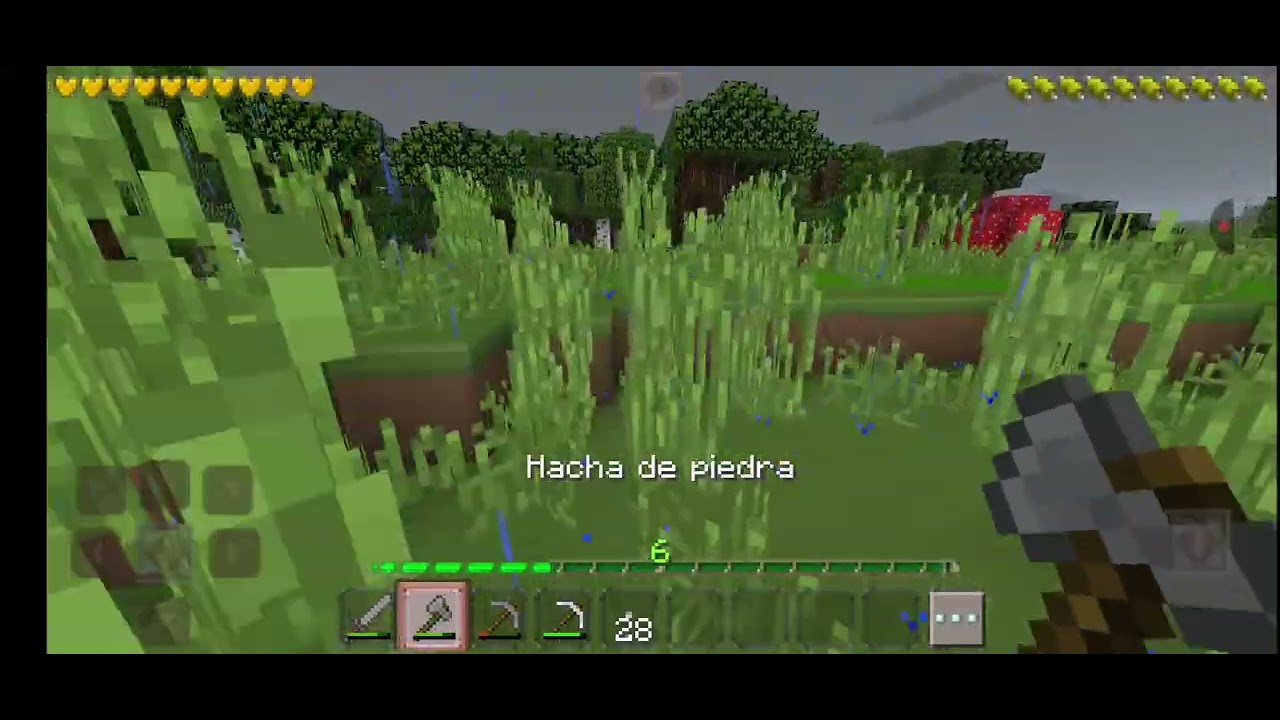 17 de septiembre de 2025