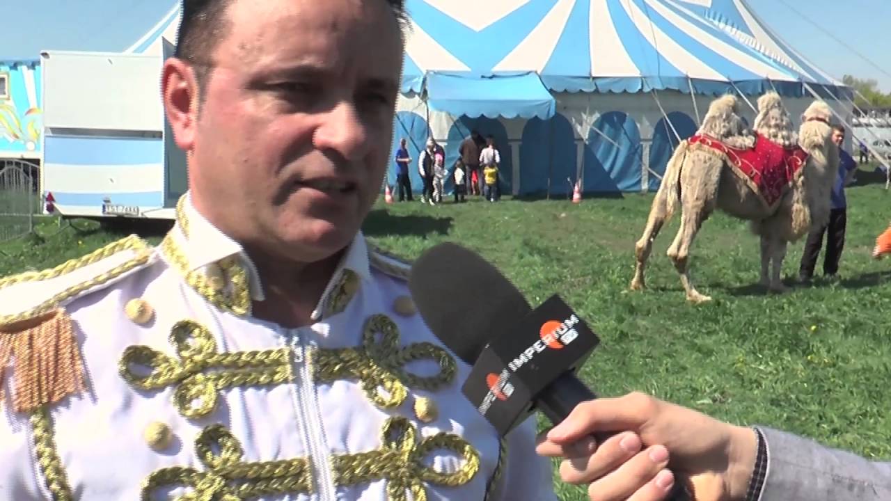 Z kamerą w... cyrku. Cyrkowcy vs. protestujący