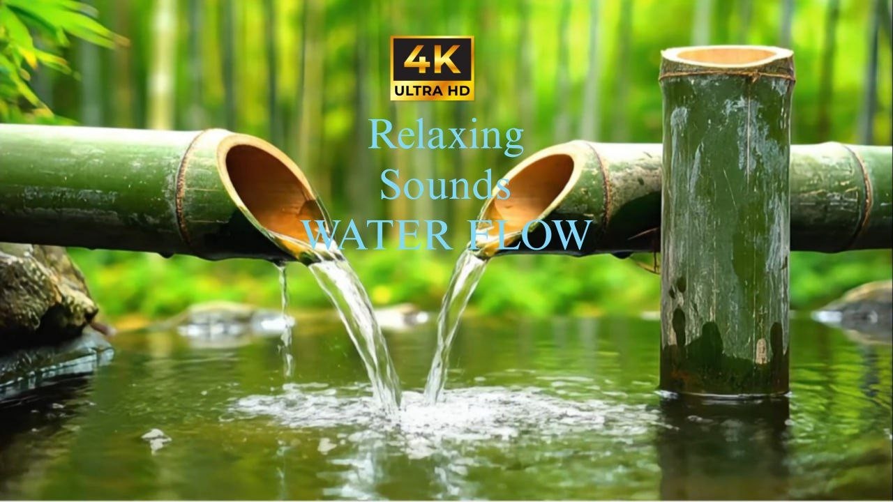 Bamboo Water Sounds + Healing Piano Music - Relaxing Music Relieves Stress, Anxiety and Depression