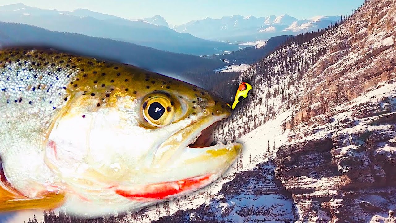 My FIRST Cutthroat Trout - Mountain Ice Fishing Part 1