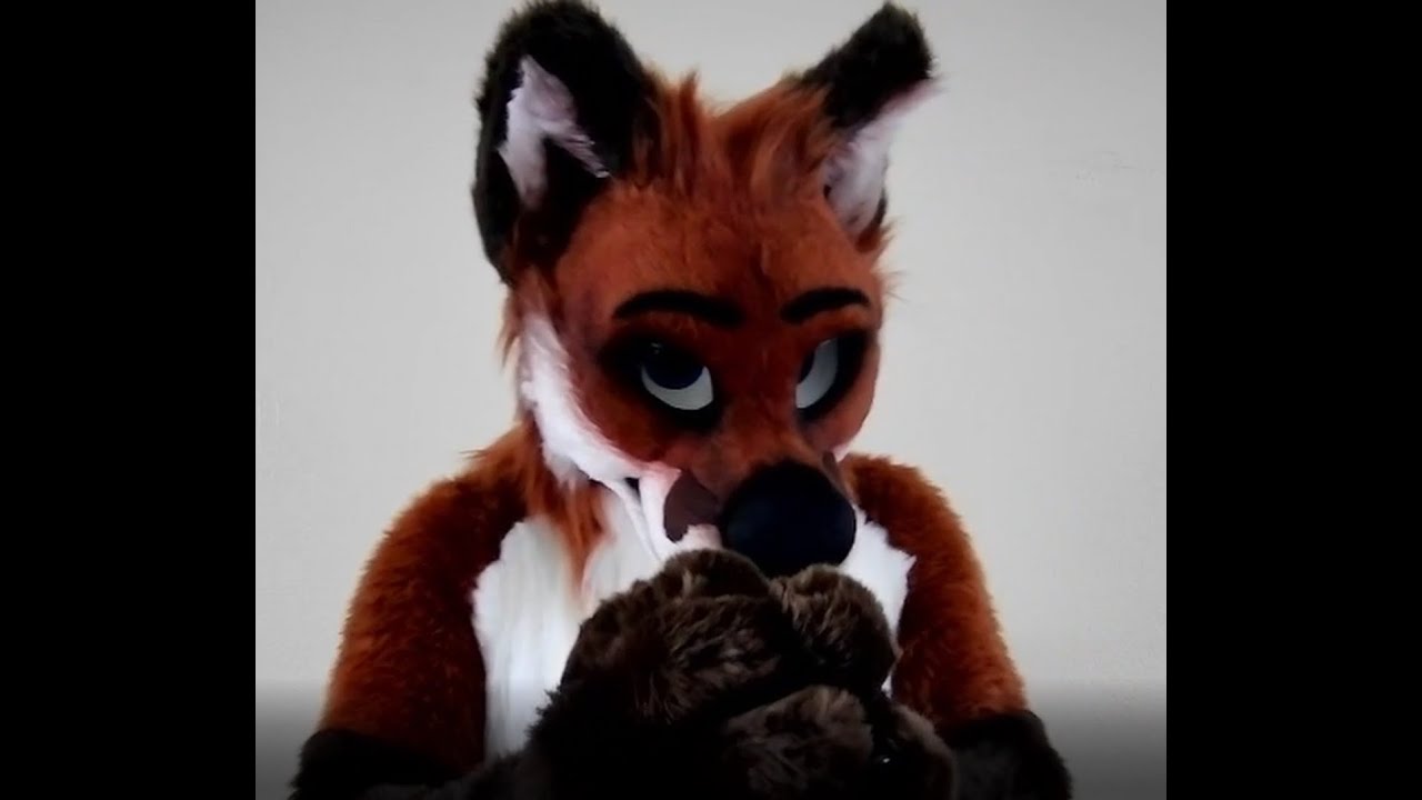 1000 subscriber special ~ 40 minutes of paw rubs