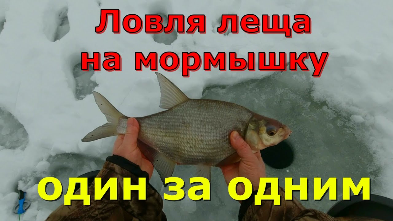 Ловля леща на мормышку 2022 НОВИНКА