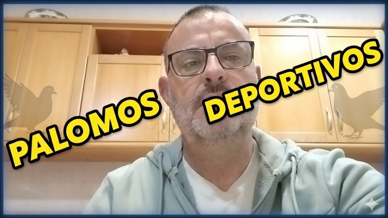 LOS PIERDO TODOS POR MI CULPA..palomos deportivos 