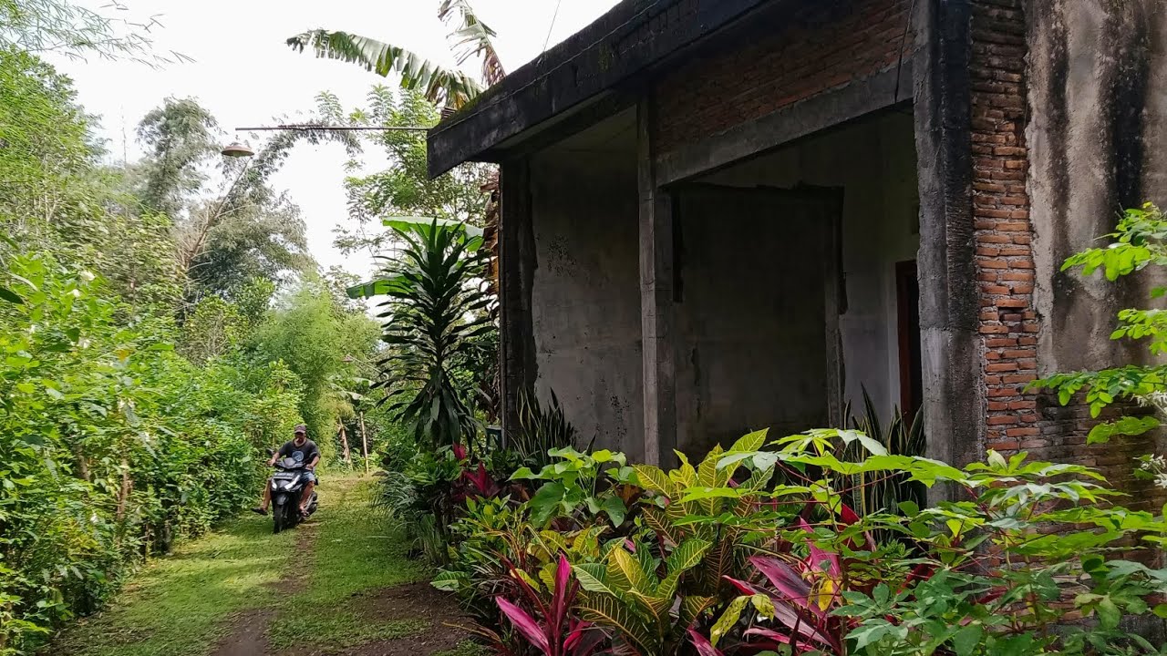 60 Jutaan‼️ Full Video Tanah Dijual Lokasi Bumiayu Kota Malang - Info Properti Malang