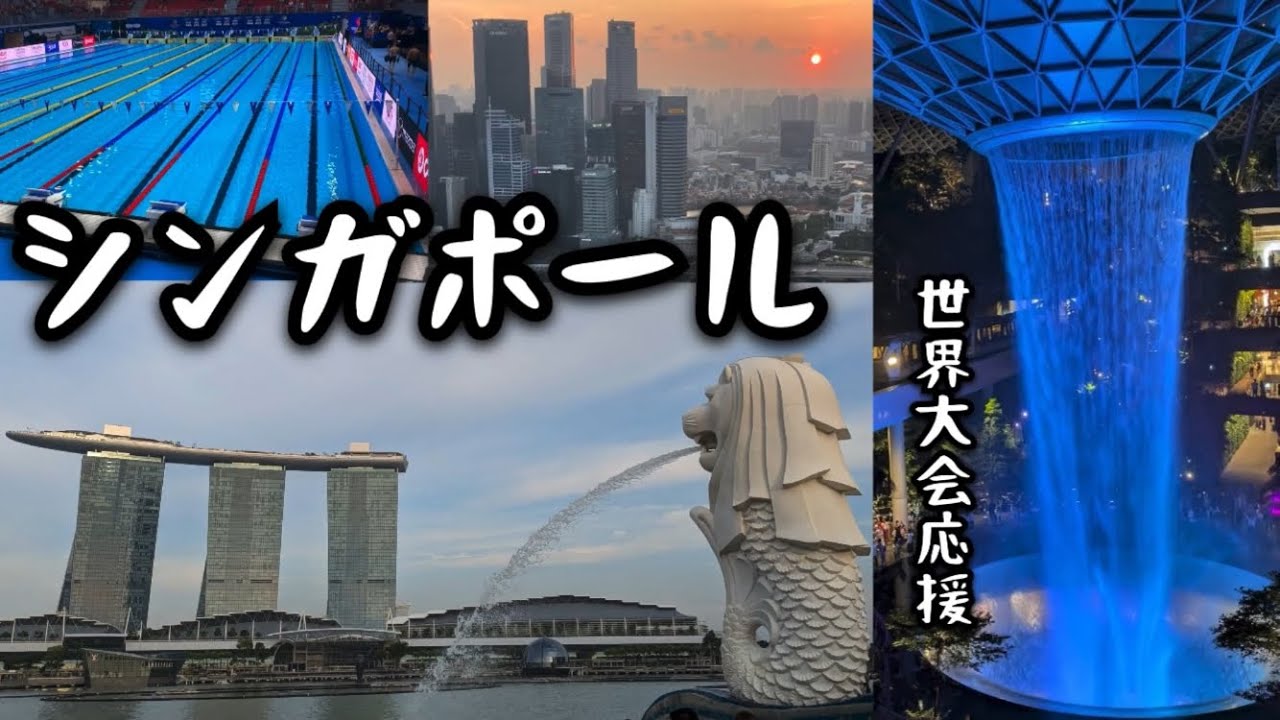 世界大会応援でシンガポールへ｜旅程紹介＆ハイライト
