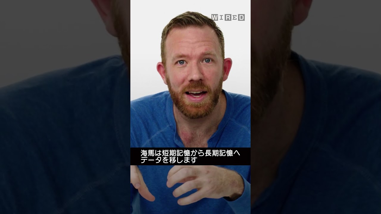 睡眠不足は記憶力に影響する？ #テックサポート#wiredjapan