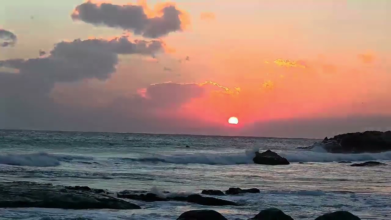 #일출#하모니파크골프클럽전지훈련