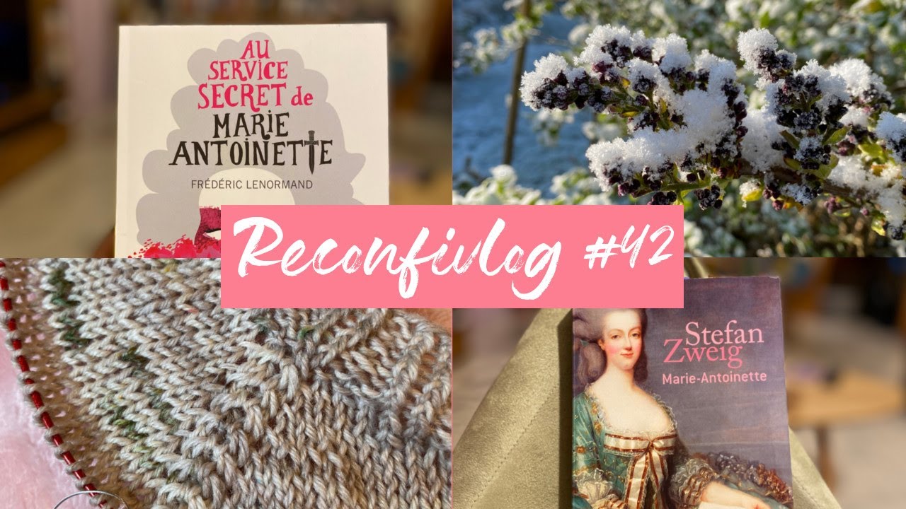 RECONFIVLOG #42 - Ecole à la maison, folie tricotesque et des livres sur Marie-Antoinette