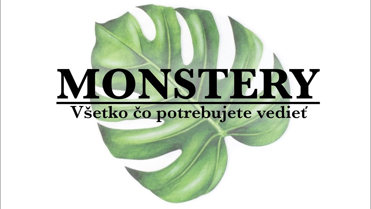 Monstery | Všetko čo potrebujete vedieť