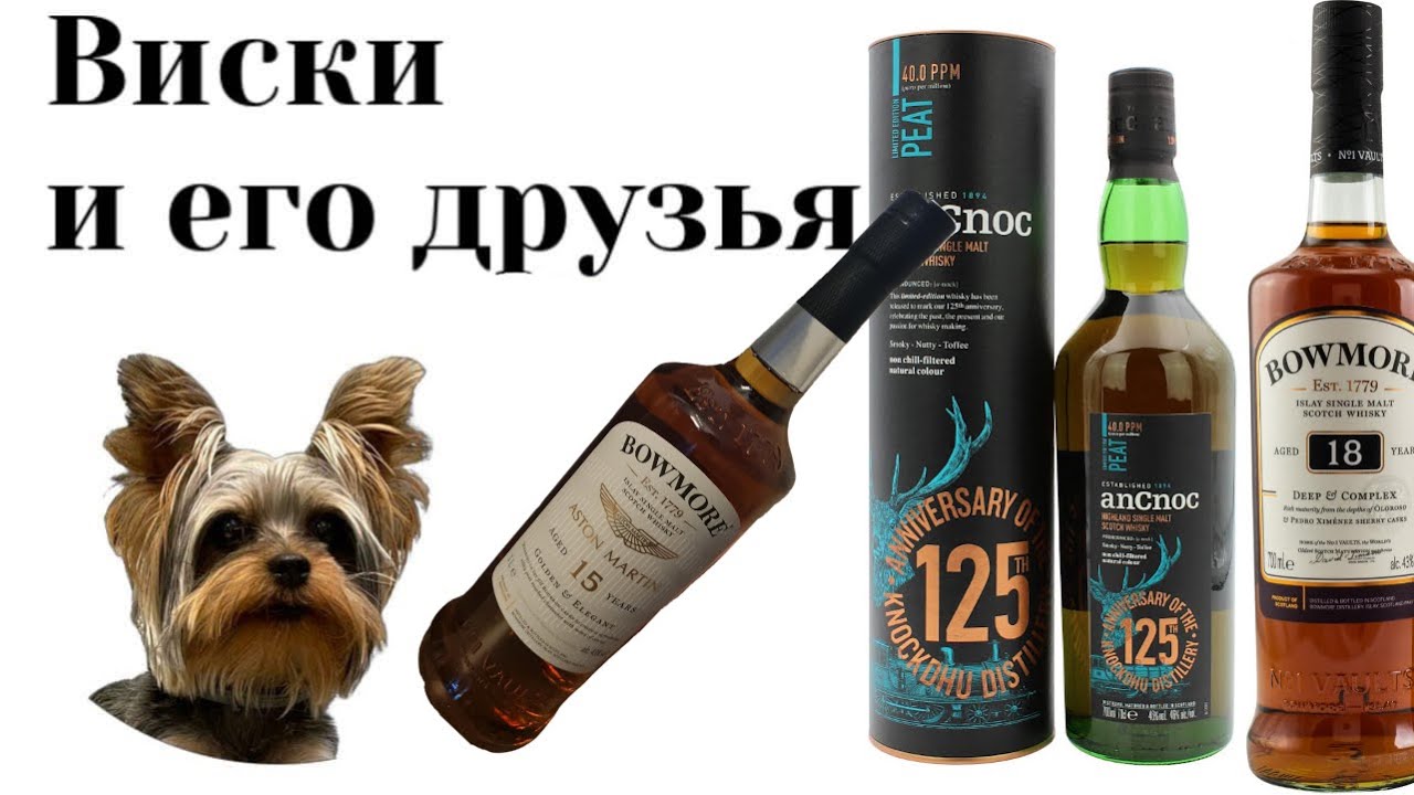 Дымное трио!