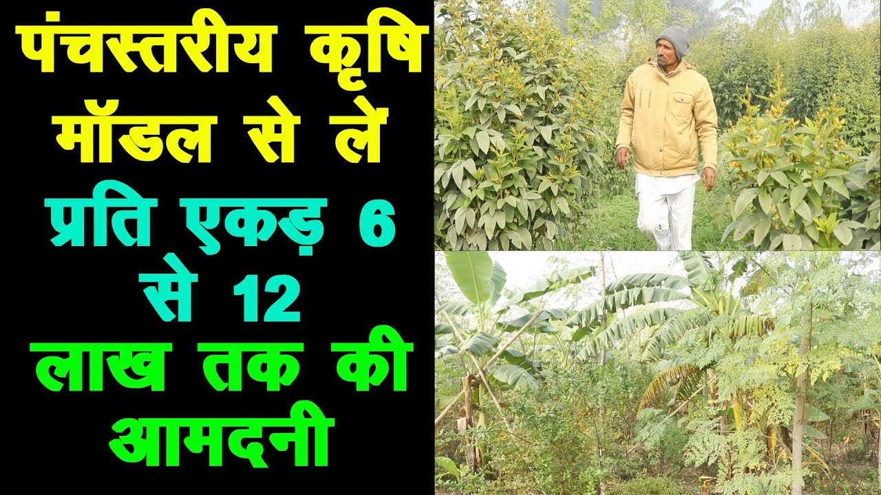 पंचस्तरीय कृषि मॉडल से लें प्रति एकड़ 6 से 12 लाख तक की आमदनी, High Profit in Multicrops Farming