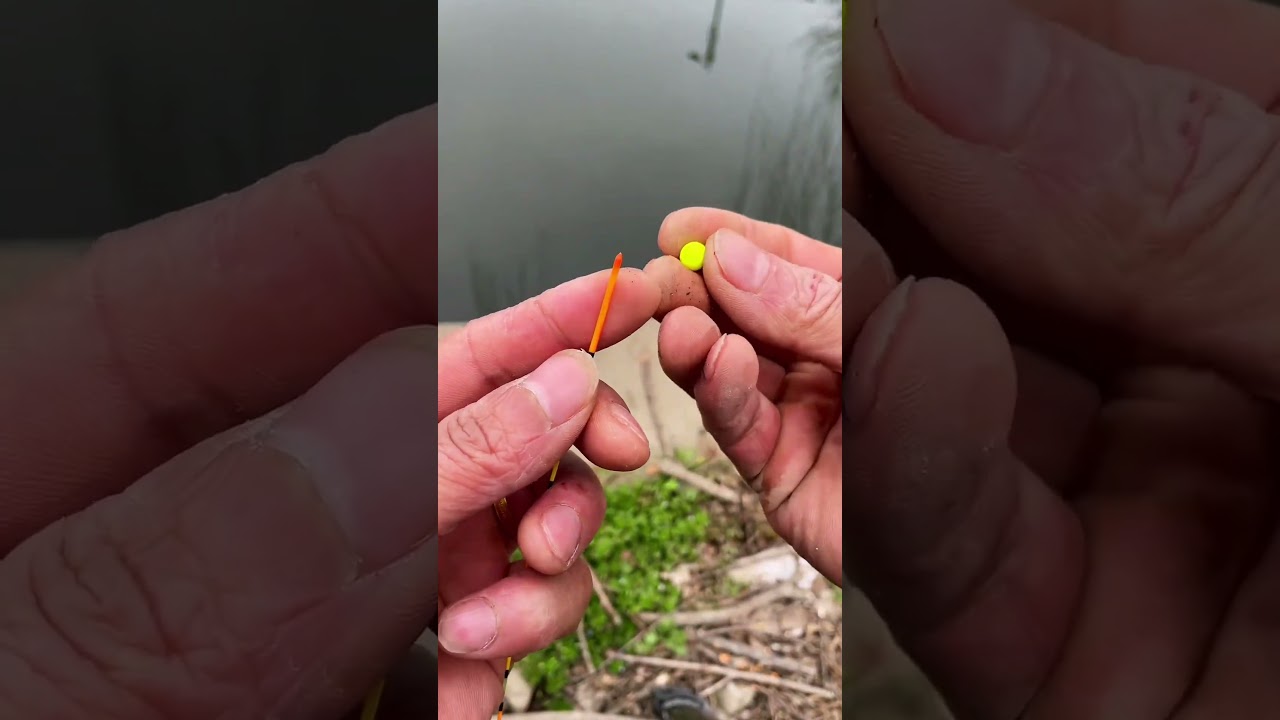 Mua Phao Hố Đấu Tự C&acirc;n C&acirc;u C&aacute; Ch&eacute;p Si&ecirc;u Nhạy D&iacute;nh C&aacute; GI&Uacute;P BẠN C&Acirc;U C&Aacute; DỄ D&Agrave;NG! #fishing #shorts