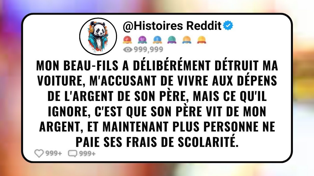 Mon Beau-Fils a Délibérément Détruit Ma Voiture, M'accusant De Vivre Aux Dépens De L'argent De Son..