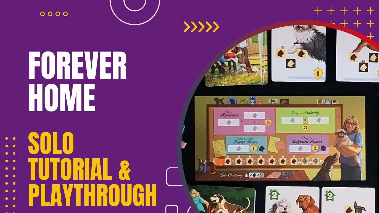 Forever Home Solo Tutorial and Playthrough | DaniCha