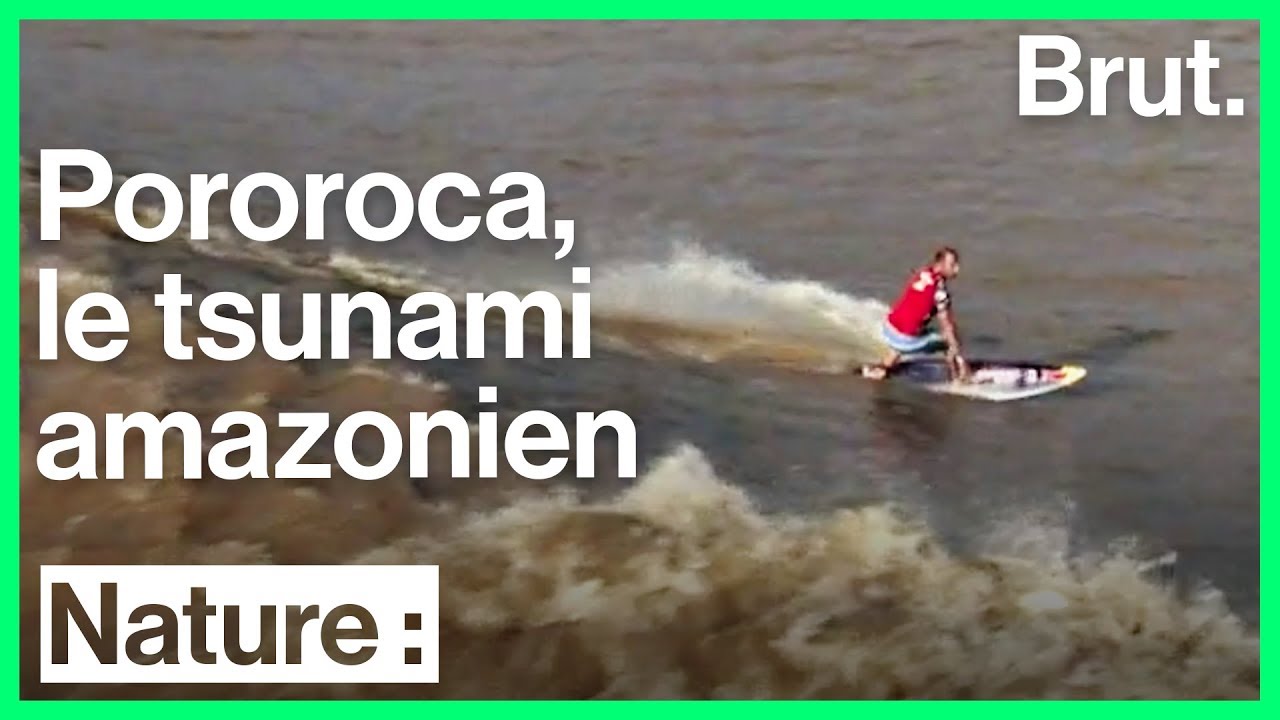 La vague g&eacute;ante Pororoca cause de nombreux d&eacute;g&acirc;ts