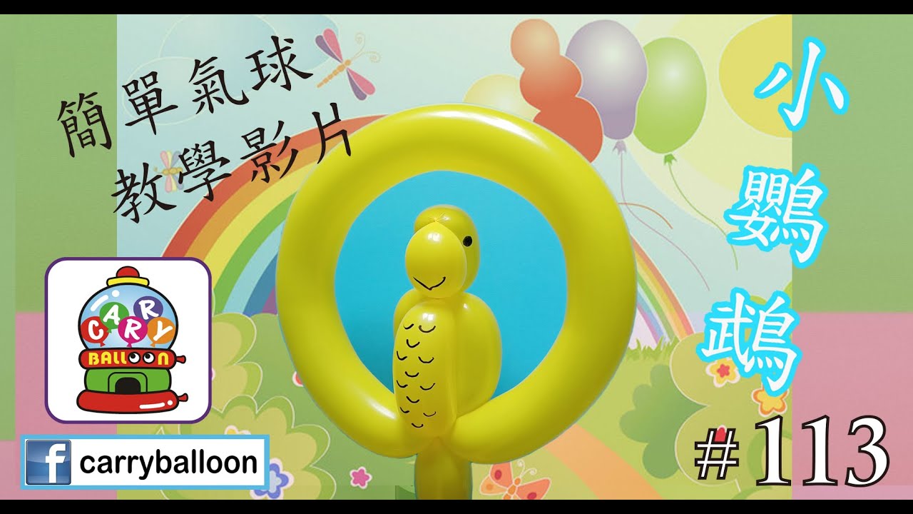 【氣球教學】 #113 小鸚鵡 簡易氣球教學 氣球 balloon 扭波 扭氣球 親子班 興趣班 合辦工作坊 婚禮佈置 畢業禮裝飾 生日會 開張花籃  [卡莉氣球教室 CarryBalloon] ~