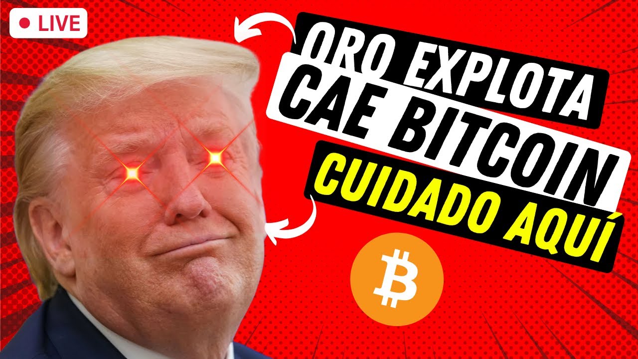 🔴 EN VIVO: &iquest;Qu&eacute; est&aacute; pasando con Bitcoin HOY? ➤ &iquest;Hasta d&oacute;nde sube el Oro?