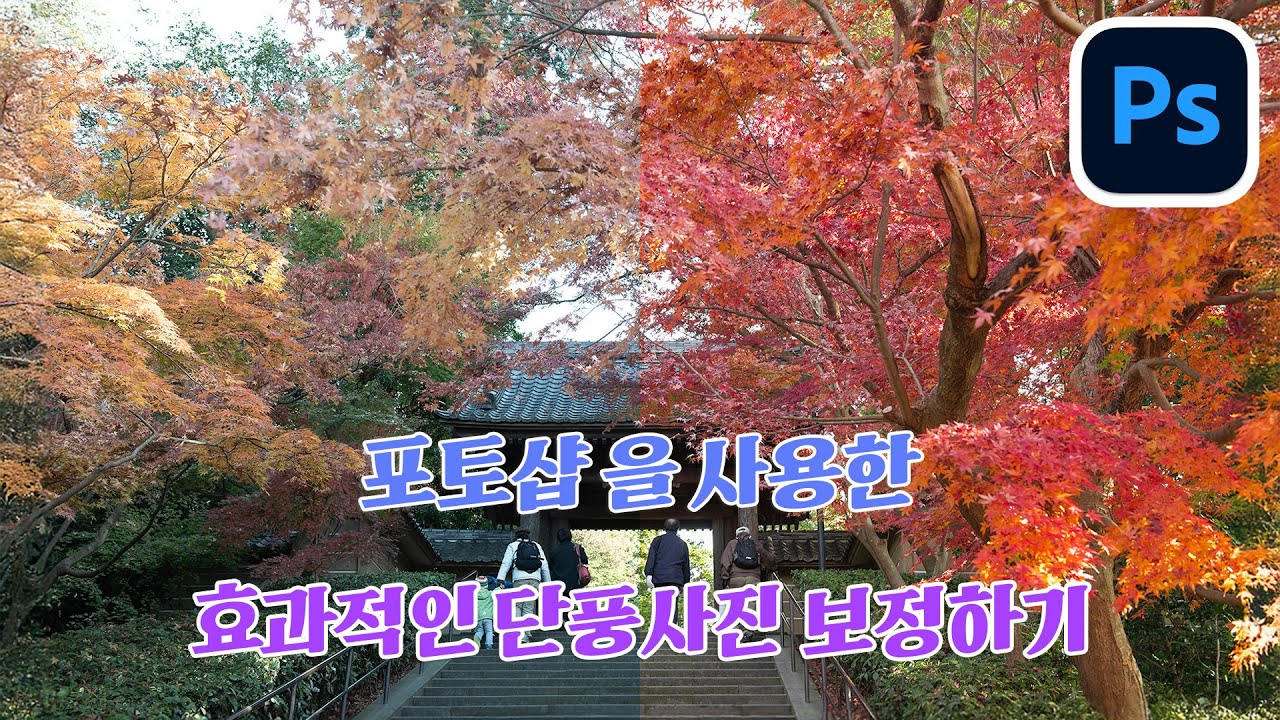 포토샵을 사용한 단풍사진 보정하기