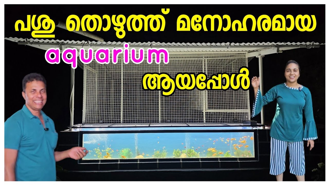 ഞങ്ങളുടെ വീട്ടിലെ ഏറ്റവും ഭംഗിയുള്ള കാഴ്ച ❤️  /Aquarium Making video /Home Surrounding