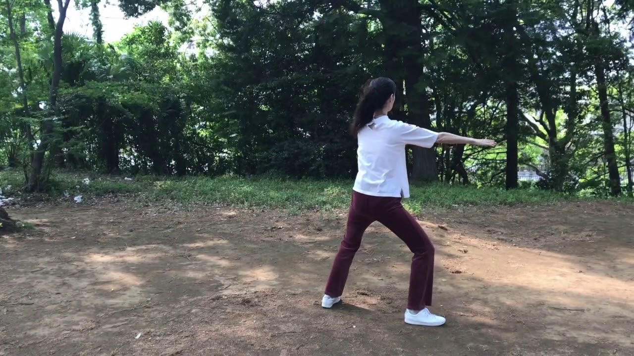 楊名時太極拳24式　後ろ向き（背面）