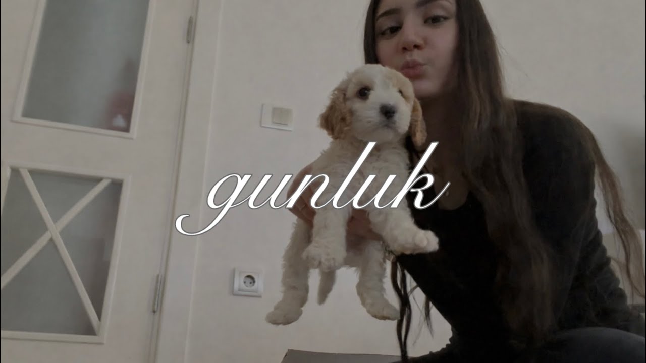 Okul günü vlog l yeni kopegimiz ?!