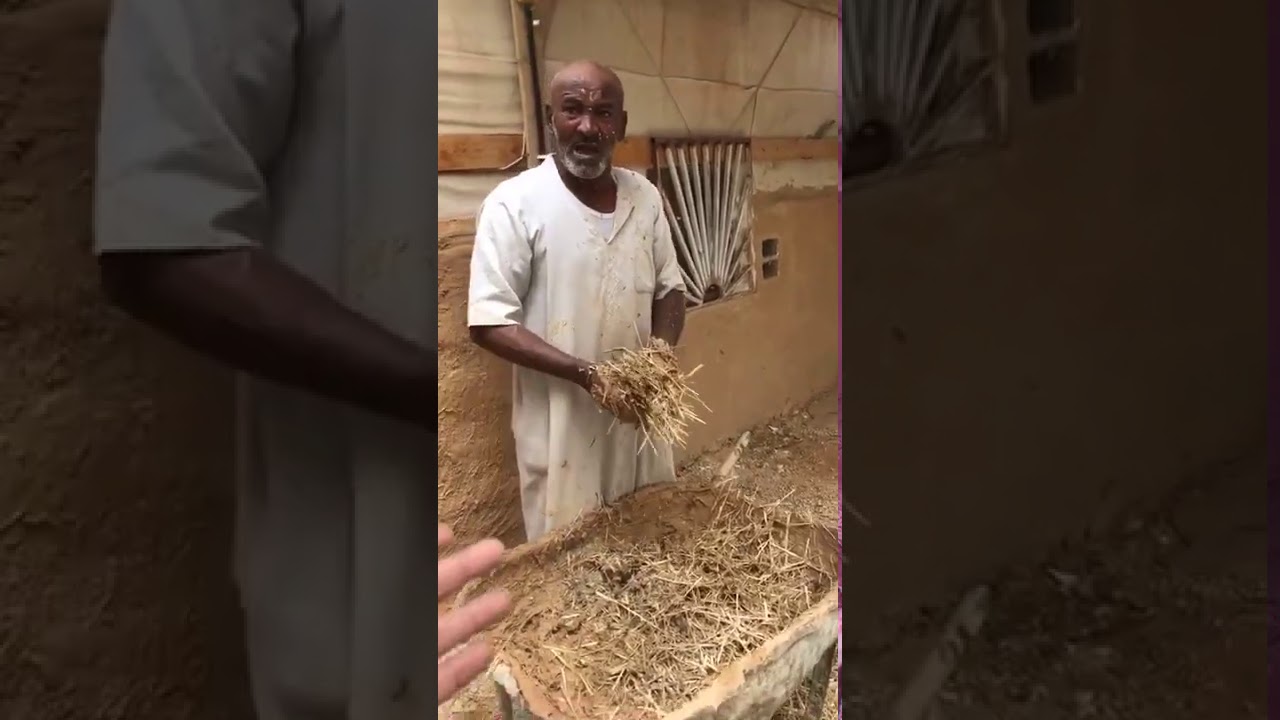 يوميات ابو عبدالله 26