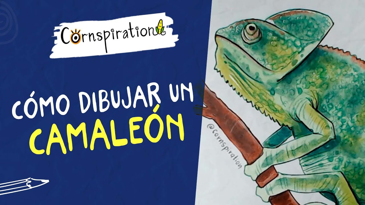 Cómo dibujar un Camaleón 👨‍🎨👩‍🎨 Paso a Paso
