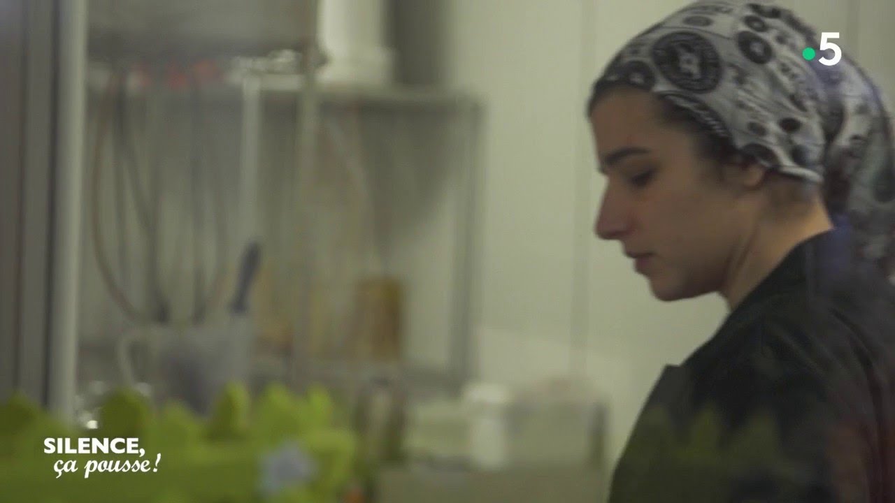 Découverte : les aliments fermentés - Silence, ça pousse !