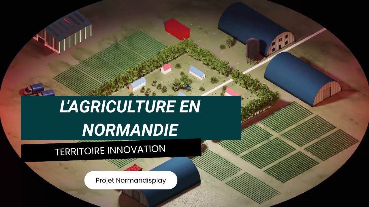 L'agriculture en Normandie : des vaches, des pommes... mais aussi des innovations