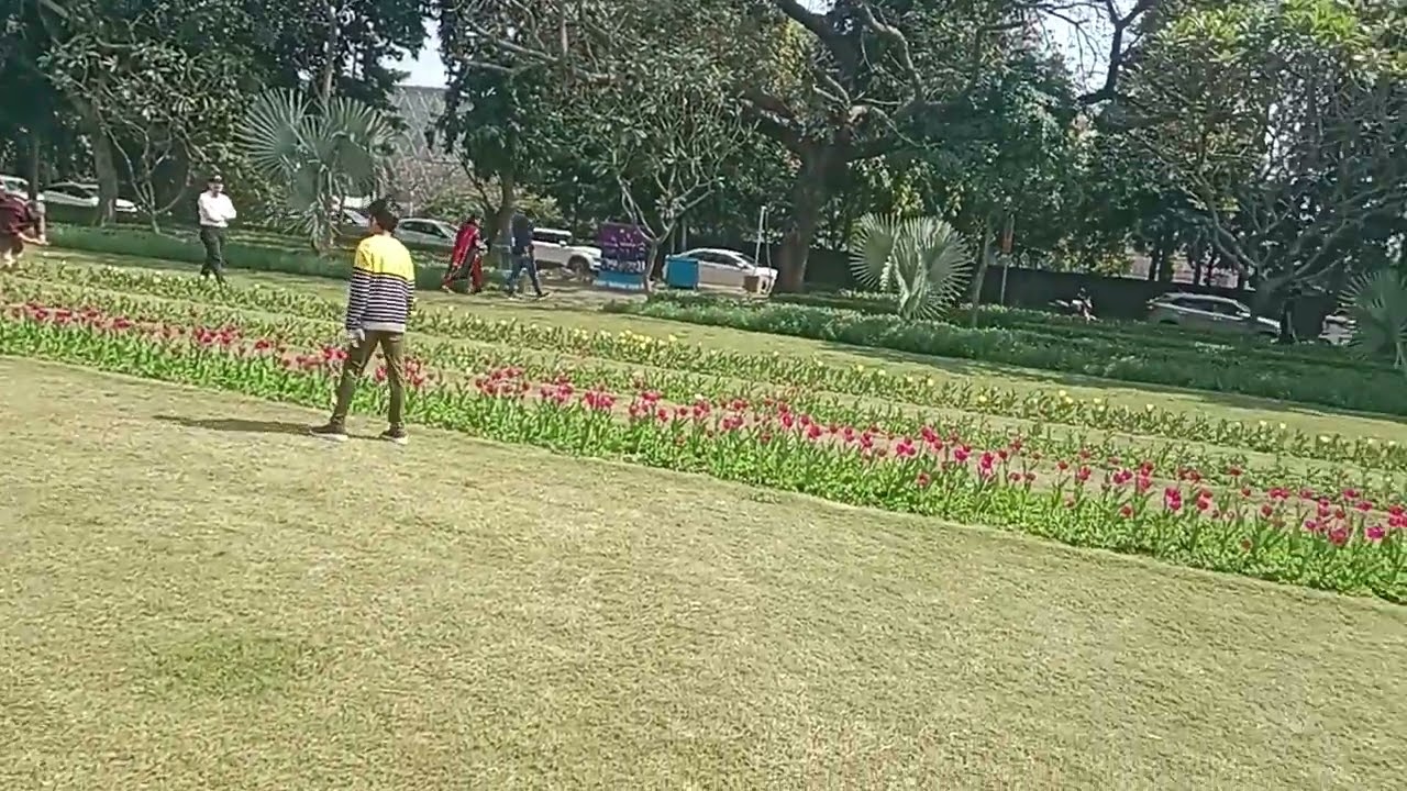 Main Delhi mein hun Nehru Park