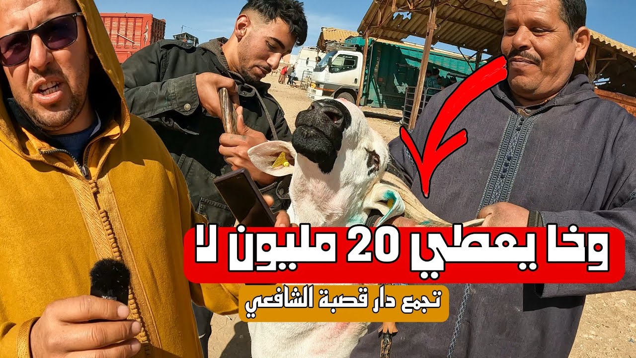 أول مرة أنبهر بمستوى خرافي من تجمع دار قصبة الشافعي كسابة غير معروفين يقدمون أحسن مكاين فالصردي
