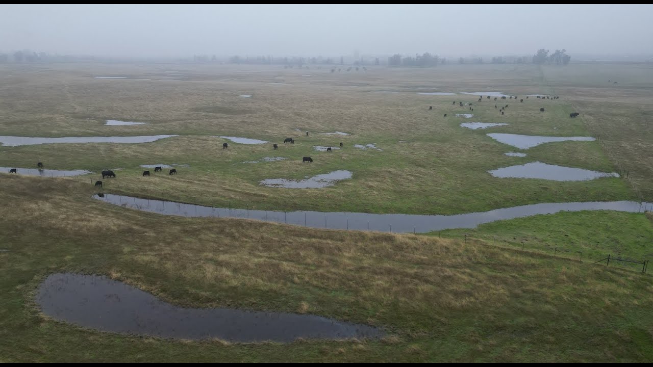Sacramento Valley Conservancy Vernal Pool Preserves