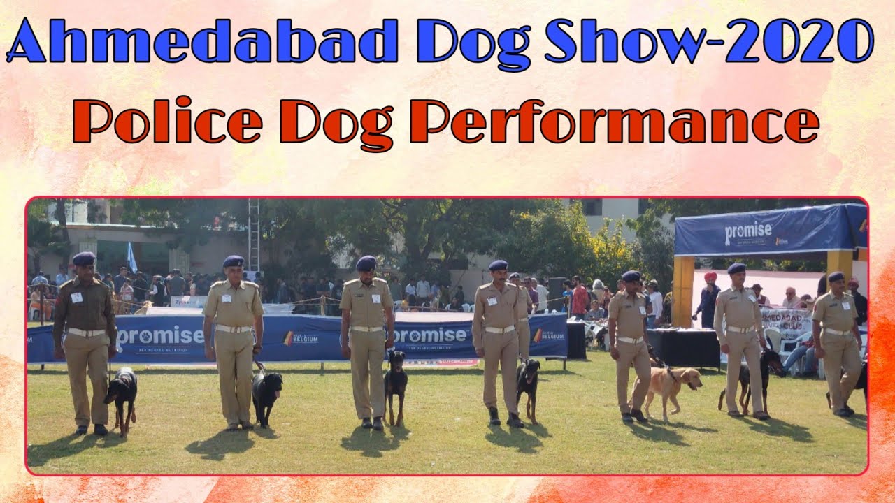 Ahmedabad Dog Show 2020, Police Dog Performance In Ring, Police Dogs Training Demonstration