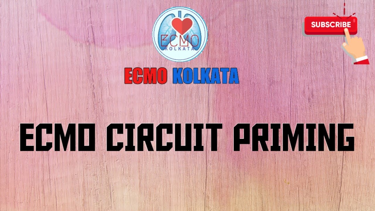 Priming of ECMO circuit.
